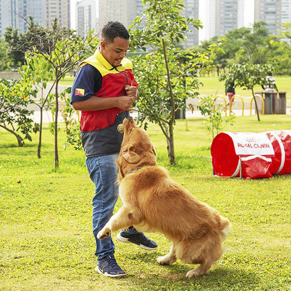 quem-somos-nossa-historia