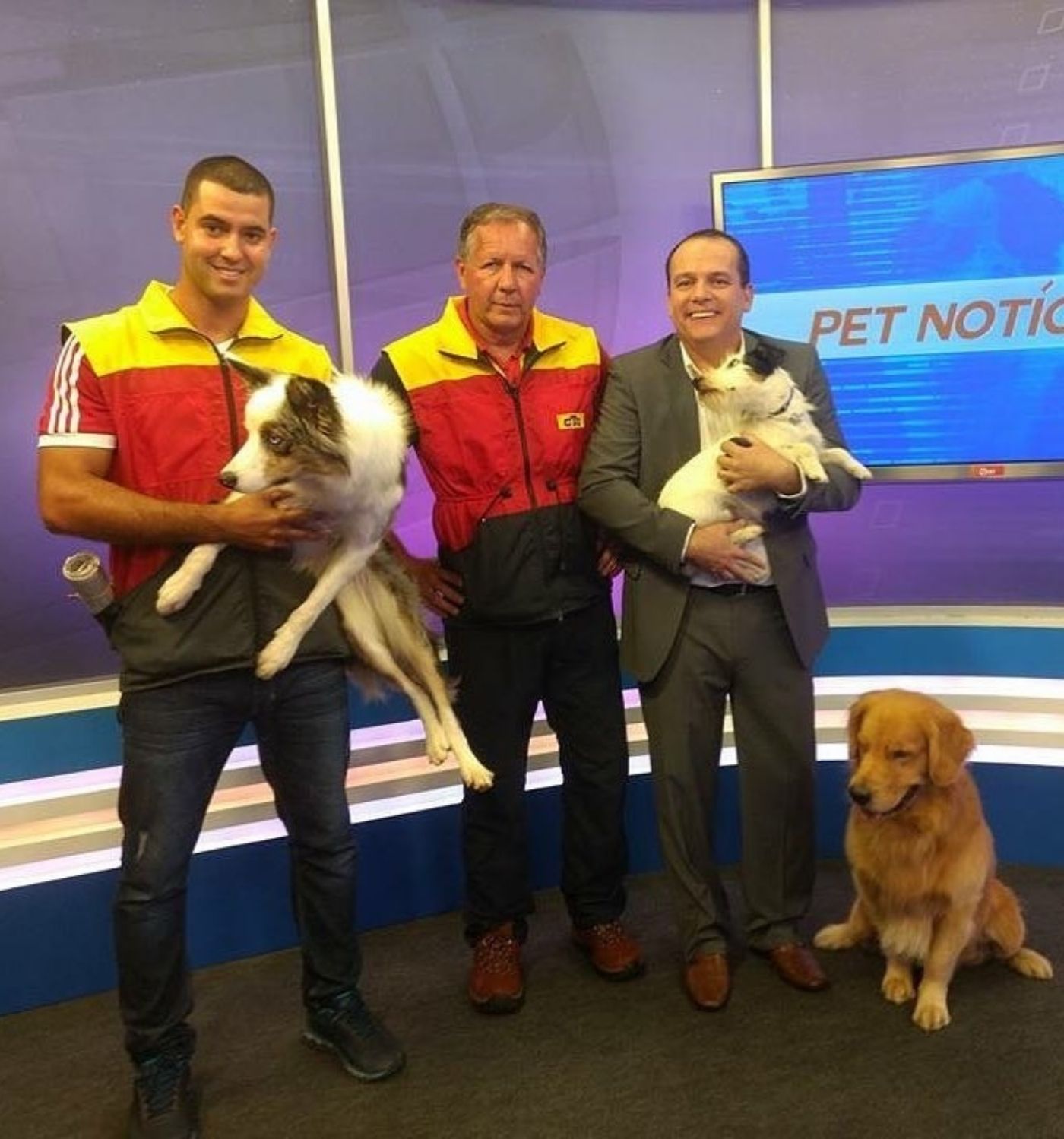 adestramento-socializacao-de-caes